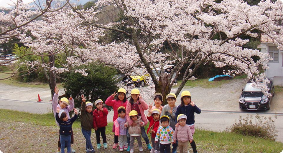 画像：桜の下の園児たち